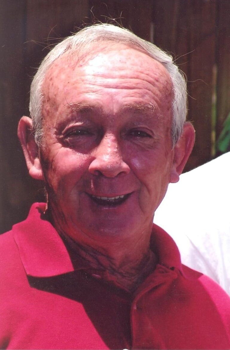 robert lewis bush